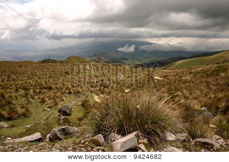 Pichincha