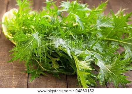 Green spring rucola salad