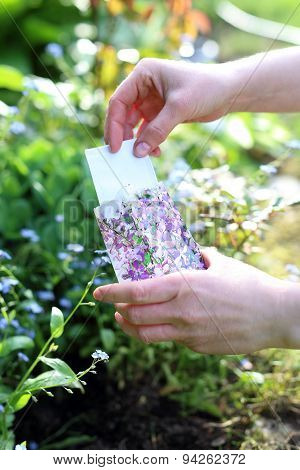 Women in garden