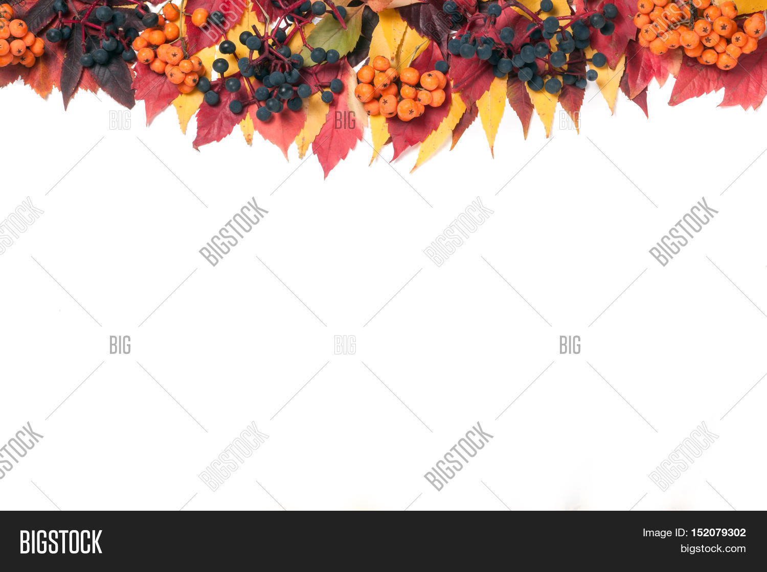 Fall Top Frame Top Part Frame Autumn Image & Photo (Free Trial) | Bigstock