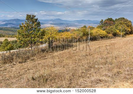 Autumn Landscape with yellow trees of Cherna Gora mountain, Pernik Region, Bulgaria