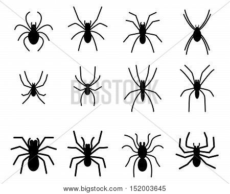 Set of spider silhouette icon and symbol vector