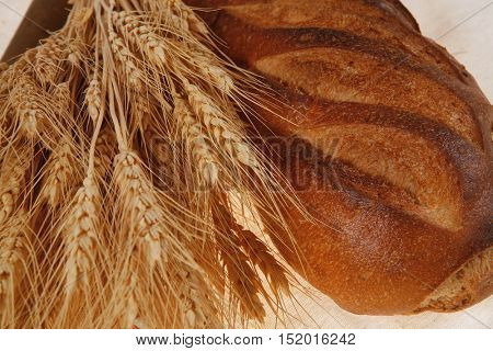 bunch of mown wheat ears with vintage handmade reaper hook sickle and rye dark white french fresh bread loaf on light linen tablecloth