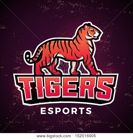Premade tiger mascot vector. Sport logo design template. Football or baseball illustration. College league insignia, School team logotype on dark background
