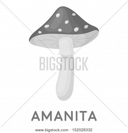 Amanita icon in monochrome style isolated on white background. Mushroom symbol vector illustration.