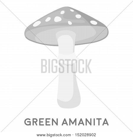 Green amanita icon in monochrome style isolated on white background. Mushroom symbol vector illustration.