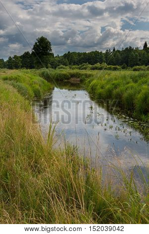 Slow flowing river in summer crossing partly abandoned meadows, Bialowieza Forest, Poland, Europe