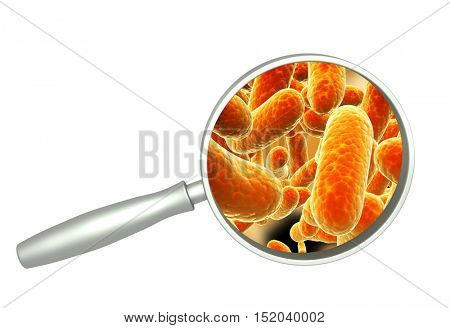 Magnifying glass and colony of pathogen bacteria. Isolated on white background. 3d render