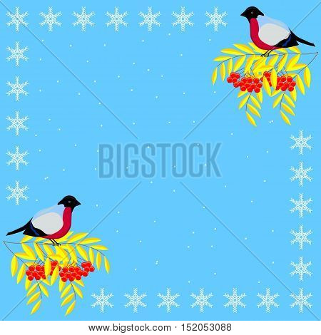 Christmas and New Year frame of the branches of mountain ash, bullfinches and snowflakes on a background of snow