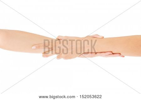 Two woman holding hand, isolated.