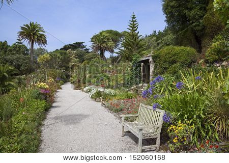 Abbey Gardens, Tresco, Isles of Scilly, England