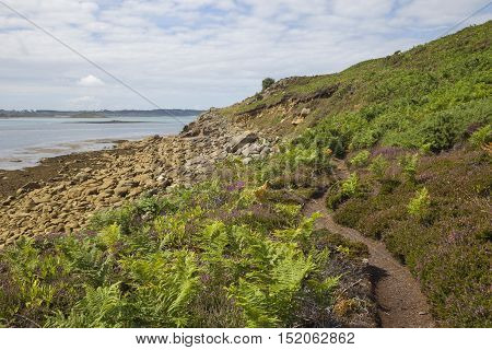 Chapel Down, St Martin's, Isles of Scilly, England