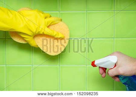 Lef Hand in Rubber Glove Holding an Yellow Sponge and Cleaning Tiles, Right Hand Holding a Spray Bottle