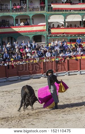Chinchon SPAIN - October 15 2016: Spainish bullfighter Miguel Abellan with the cape in the main square of chinchon during the festival benefit traditional Chinchon Madrid province Spain