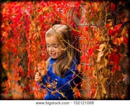 Little Girl On A Beautiful Background Of Autumn Wild Grapes