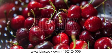 Sweet Fresh Cherries With Water Trops