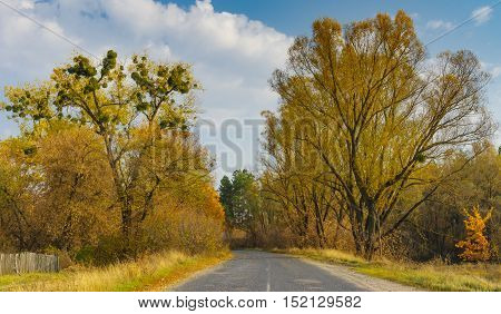 Autumnal landscape with rural road in Sumskaya oblast Ukraine