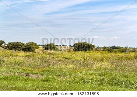 Sunny Beach In Brittany