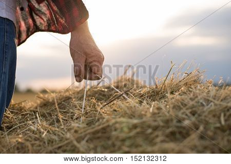 closeup of Farmer with straw bales harvest