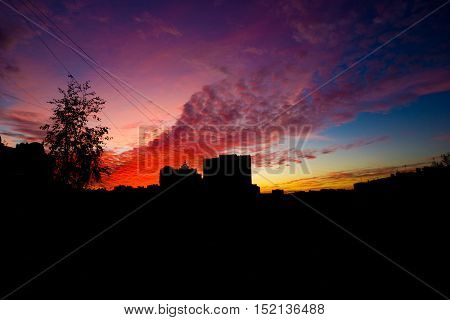 Bright Sunset