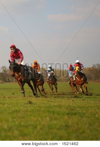 Pp In Field