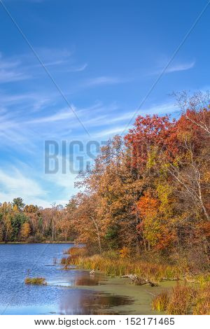 Autumn Vibrant Colors On Apple River
