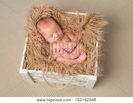 lovely bare sleeping newborn baby in wooden box with fluffy blanket