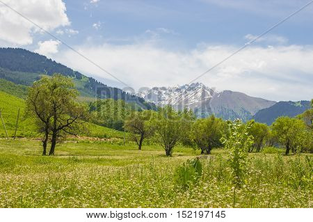 Panorama of the nature and mountains of the Kaskelen gorge in Almaty Kazakhstan