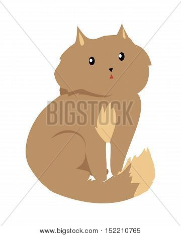 Cat isolated on white. Domestic cat, feral cat, house cat is a small, typically furry, carnivorous mammal. Sticker for children. Fluffy little brown kitten. Vector design illustration in flat style.
