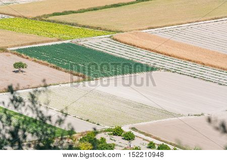 Scenics with small fields mountains and trees in the interior of Mallorca Spain.