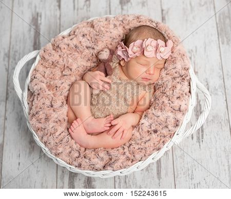beautiful newborn girl with headband in basket with fluffy blanket