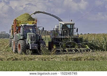 YSBRECHTUM, THE NETHERLANDS - OCTOBER 12, 2016: A Claas chopper with a six row corn head is filling a silage wagen with maize during harvest time.