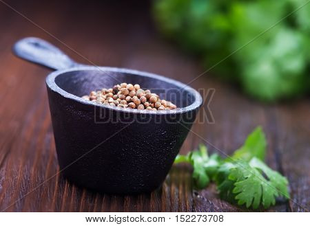 Coriandre