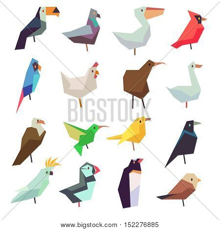 Birds in flat style vector collection. Chicken and parrot, sparrow and pigeon illustration