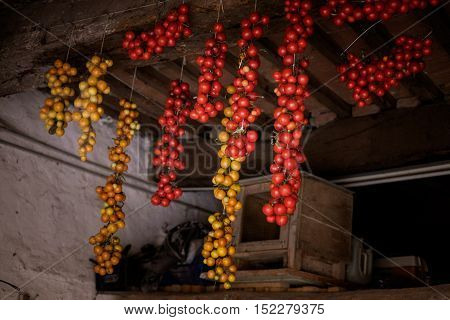 Serre Di Rapolano, Siena - Tuscany