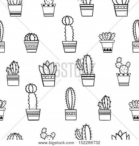 Cactus Pattern / Seamless Background with Cactus and succulent in Pot