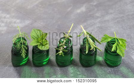 Green Bottle of essential oil with Fresh herbs and medicinal plants on slate background