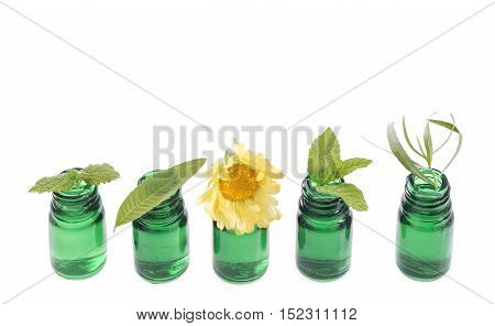 Bottle of essential oil with herb fresh plants and flowers, white background.