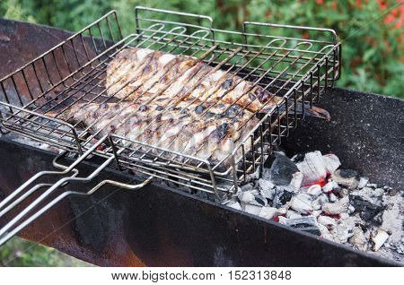 fish to the barbecue    