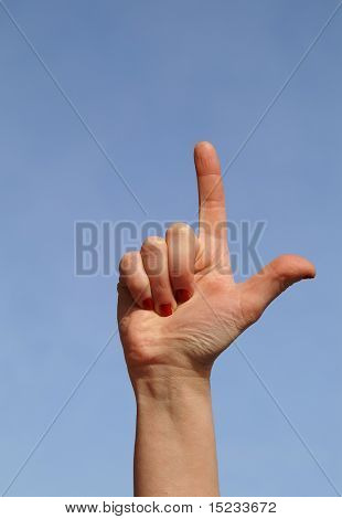 2; 코스; 권총. 포인터; 표시기