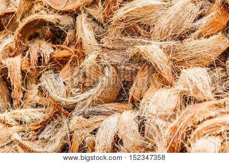 Closeup coconut spathe fiber for texture background.