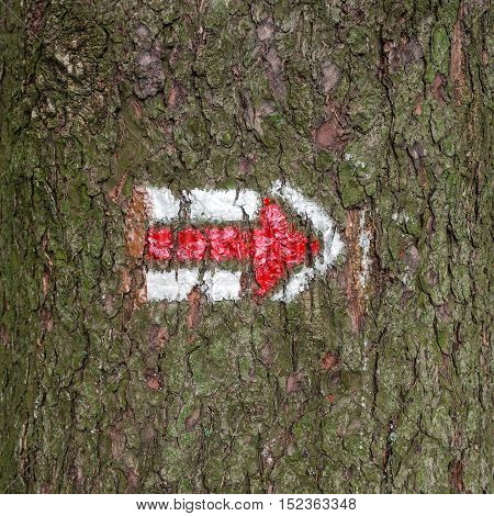 Red and white hiking arrow sign on tree trunk bark wood, typical for czech tourism, providing guidence, touristic navigation or directions, simple