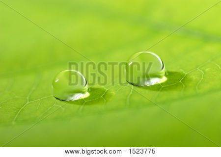 Waterdrop su una foglia