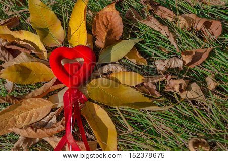 small red heart with bow on autumn leaves-sun rays like