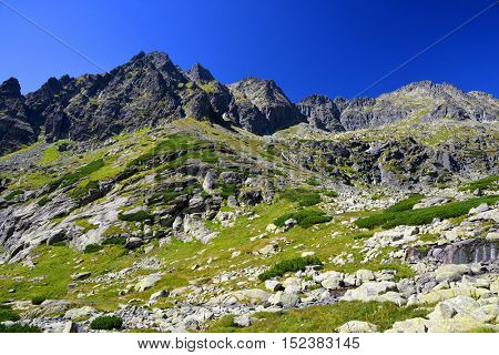 Mountain landscape in Western Carpathians. Mlynicka Valley in Vysoke Tatry (High Tatras), Slovakia
