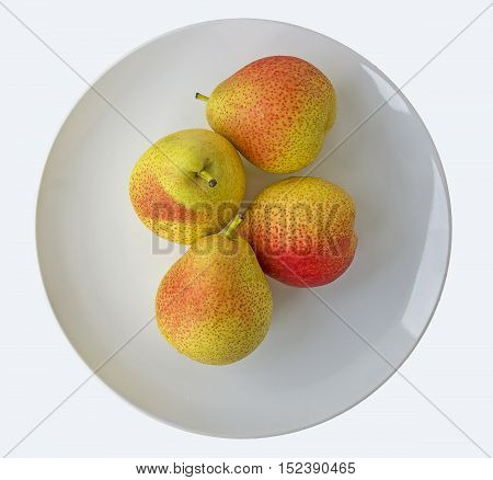 Organic Blush Pears - Streaks of Red Ripening yield very sweet and delicious fruit (Also known as: 