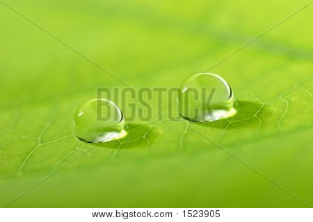 Waterdrop su una foglia