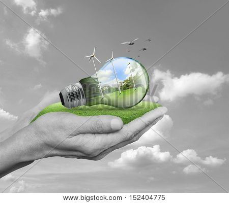 Light bulb with wind turbines birds and forest inside in hands over black and white sky with white clouds Ecological concept