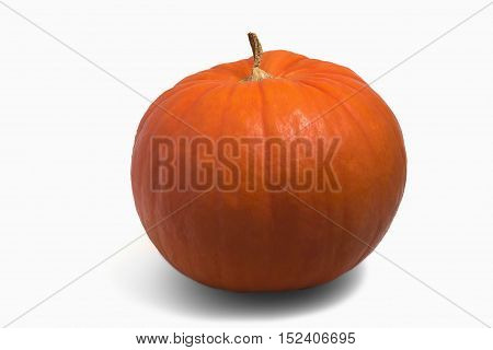 Pumkin Isolated On The White Background With Shadow.