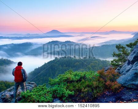 Tourist with red outdoor windcheater stands between dwarf pines on view point. Autumn hilly landscape in fog.